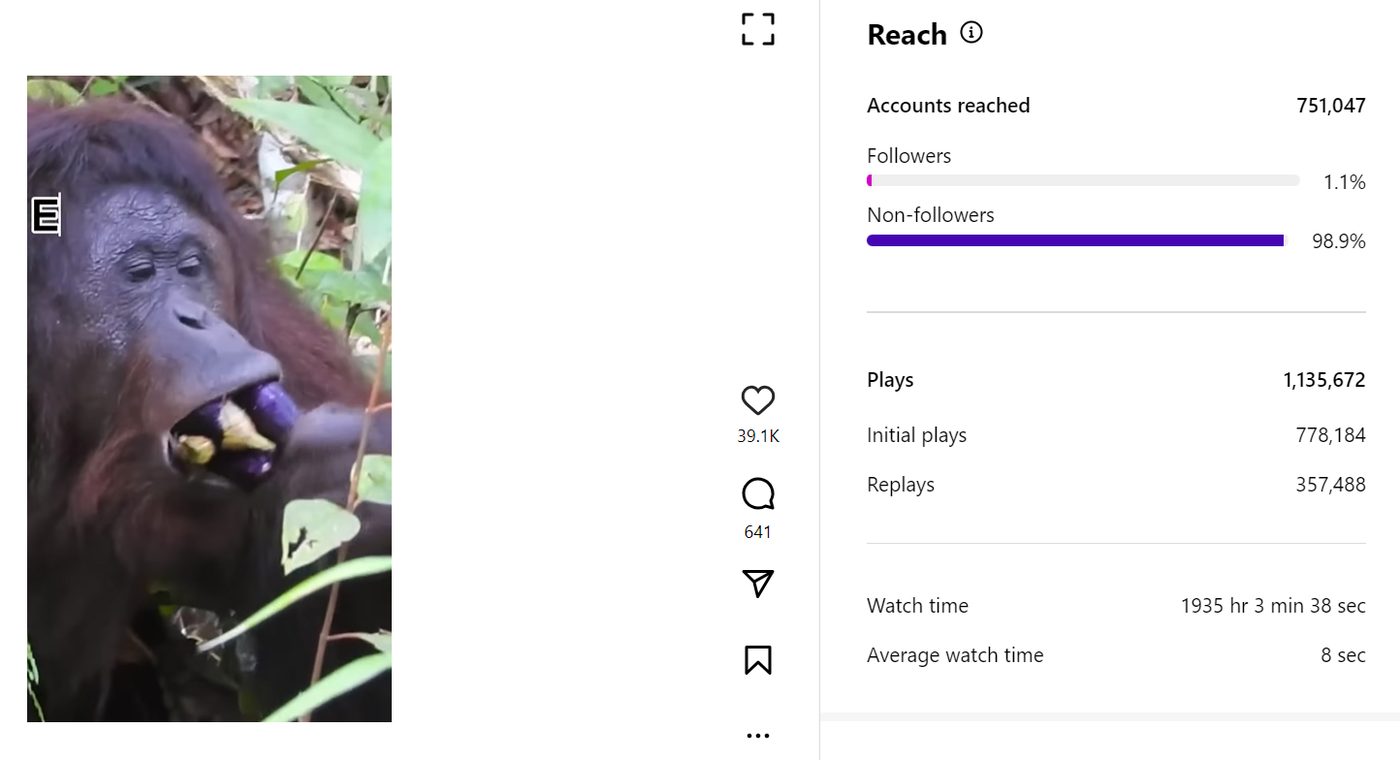 Instagram insights showing 751,047 accounts reached, 98.9% non-followers
