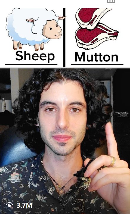 Solaris English video explaining sheep versus mutton