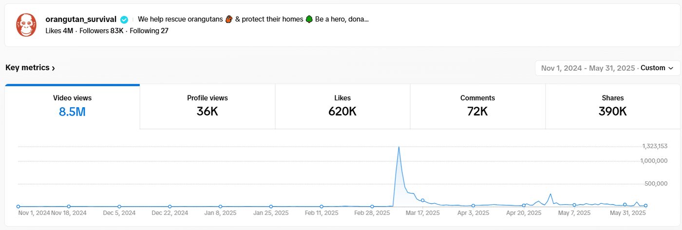 TikTok analytics Nov 2024 to May 2025: 8.5M views, 620K likes, 390K shares